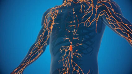 Platinum LED Red Light Therapy wellness treatment